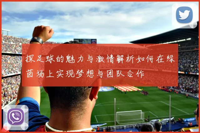 探足球的魅力与激情解析如何在绿茵场上实现梦想与团队合作