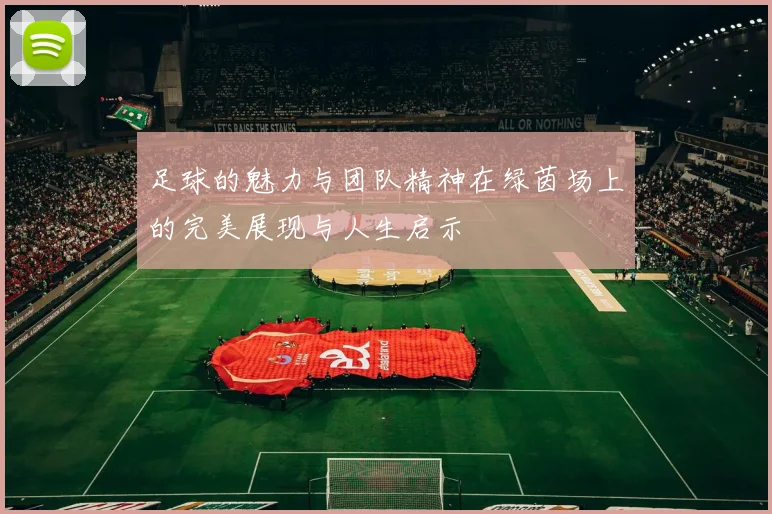 足球的魅力与团队精神在绿茵场上的完美展现与人生启示