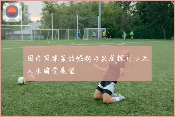 国内篮球菜的崛起与发展探讨以及未来前景展望
