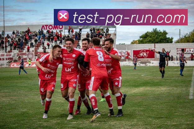 PG官方平台平台生态图