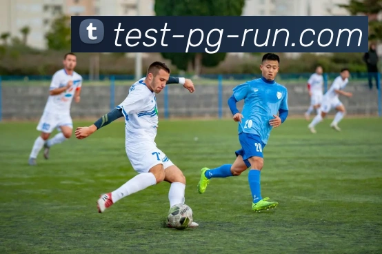 PG官方平台全站App